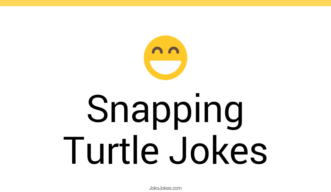 6+ Snapping Turtle Jokes And Funny Puns JokoJokes