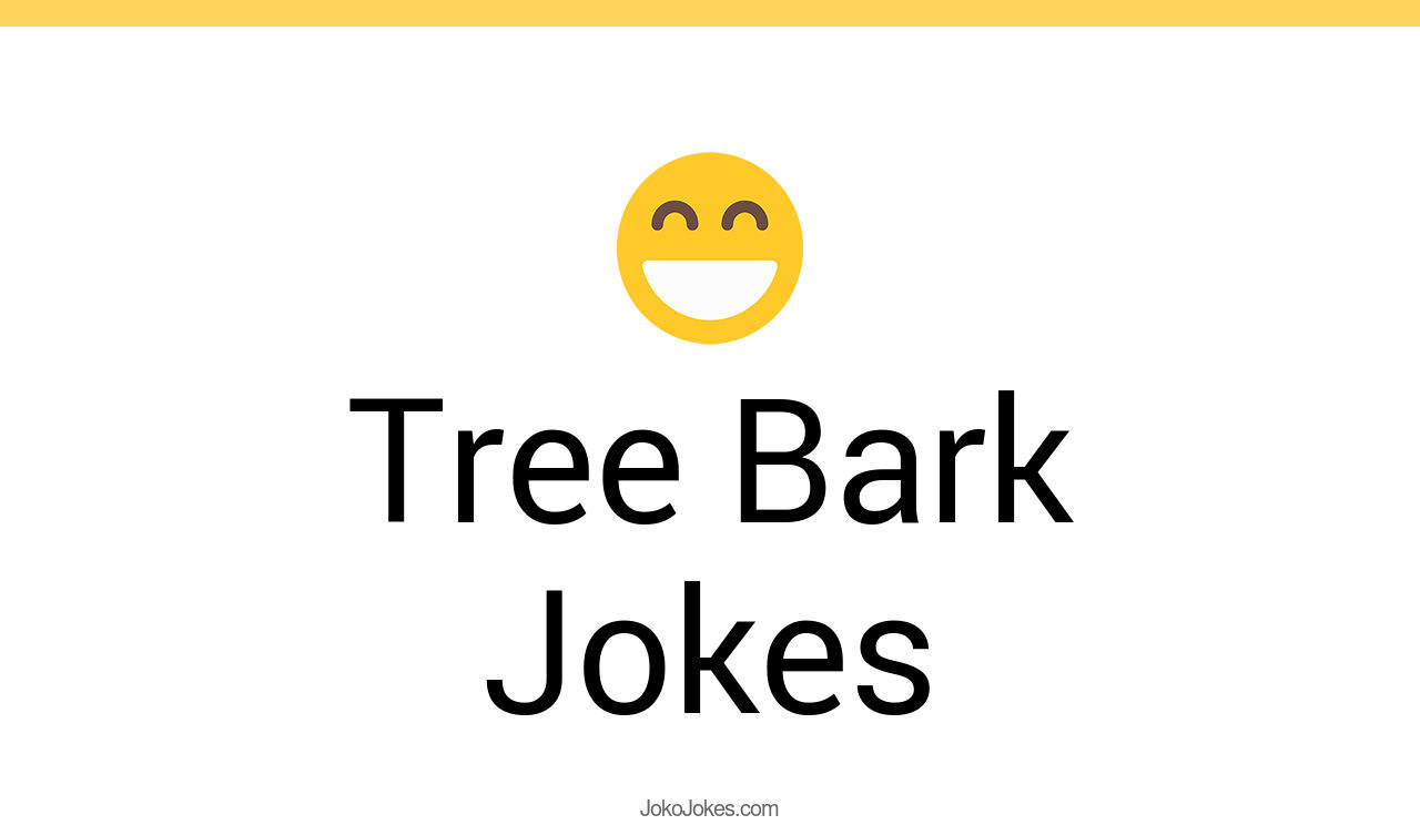 88+ Tree Bark Jokes And Funny Puns JokoJokes