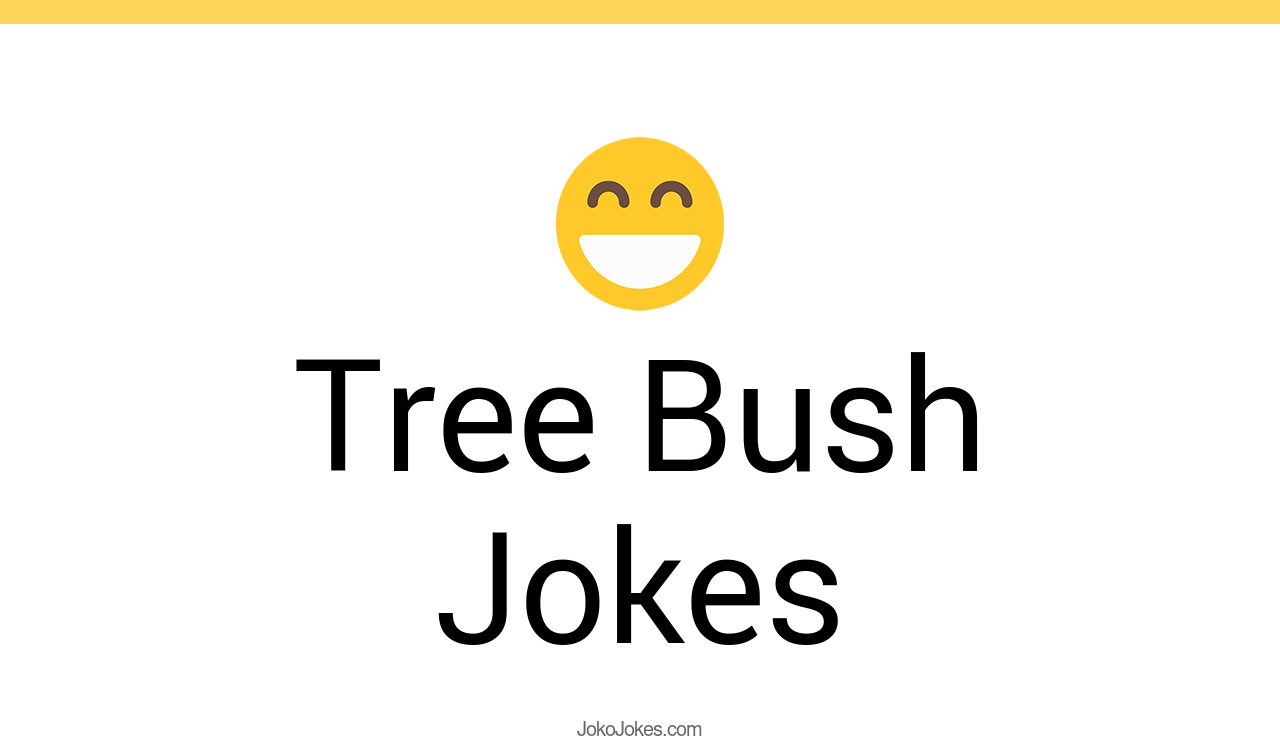 60+ Tree Bush Jokes And Funny Puns JokoJokes