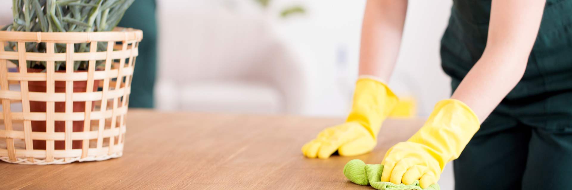 Jola Cleaning Company Arlington Heights Home Cleaning & Maid Service