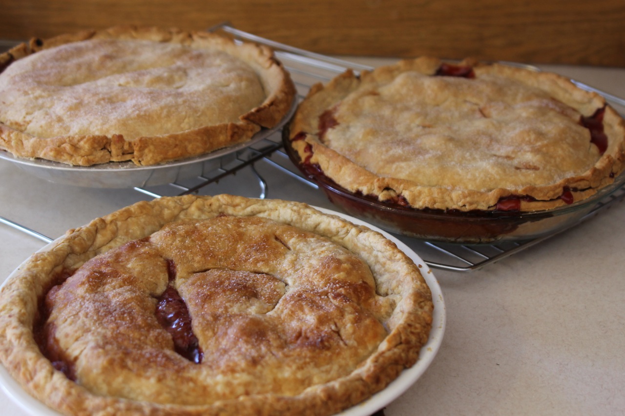Top Ten PieMaking Tips Jolene Philo