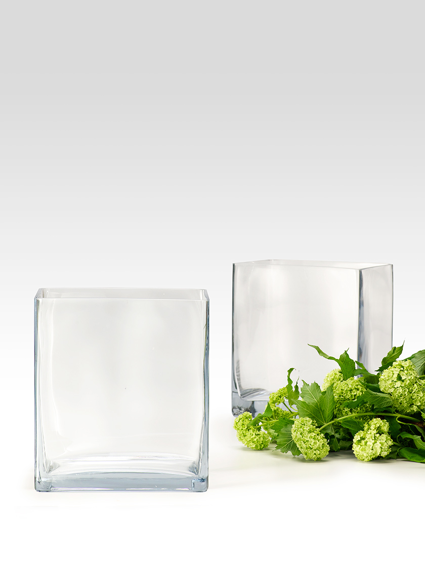 Clear 8″ x 2″ Rectangle Glass Vase Joli Jardin