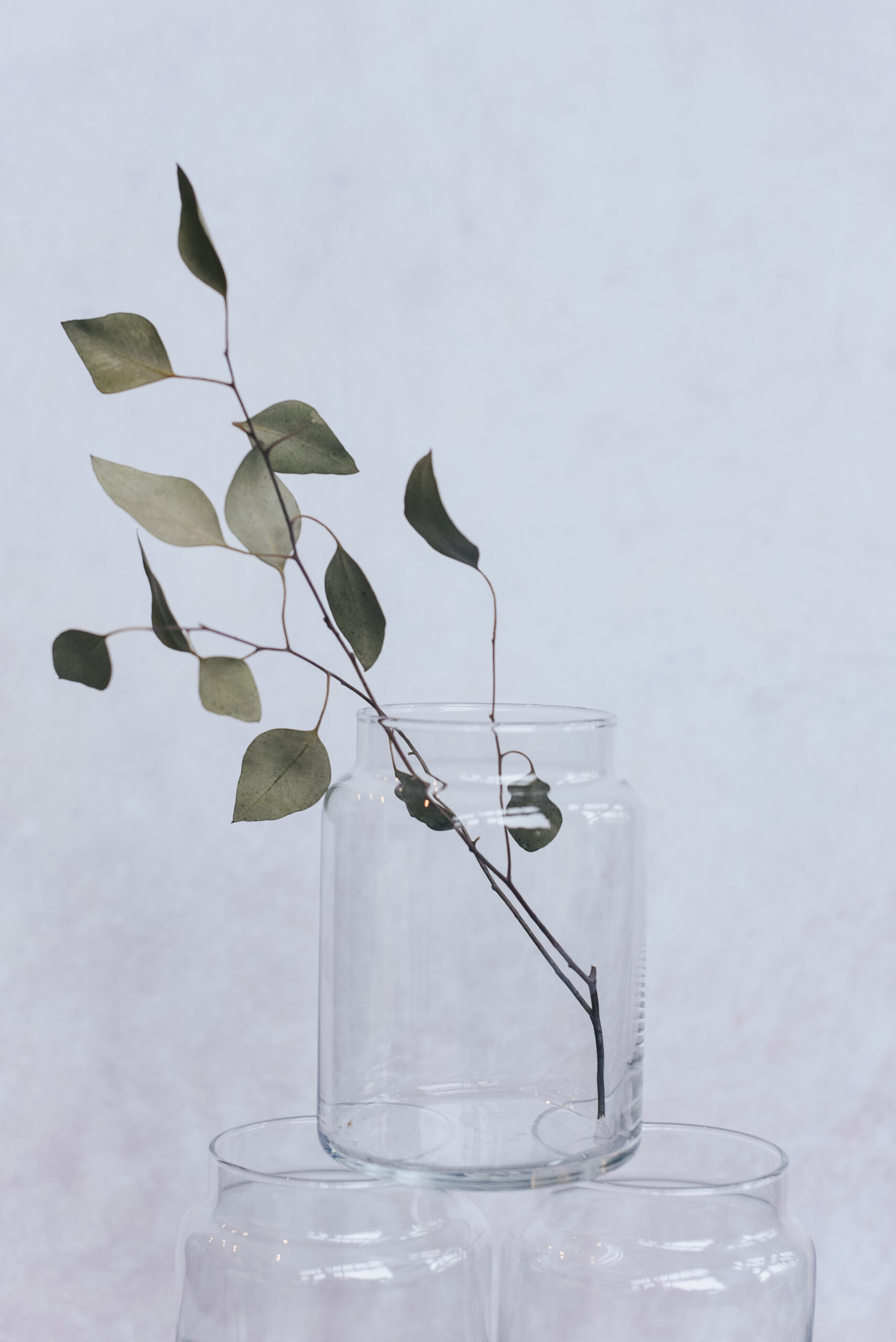 Apothecary Vase Joli Jardin