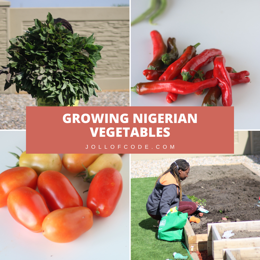 Growing Nigerian Vegetables Jollof Code