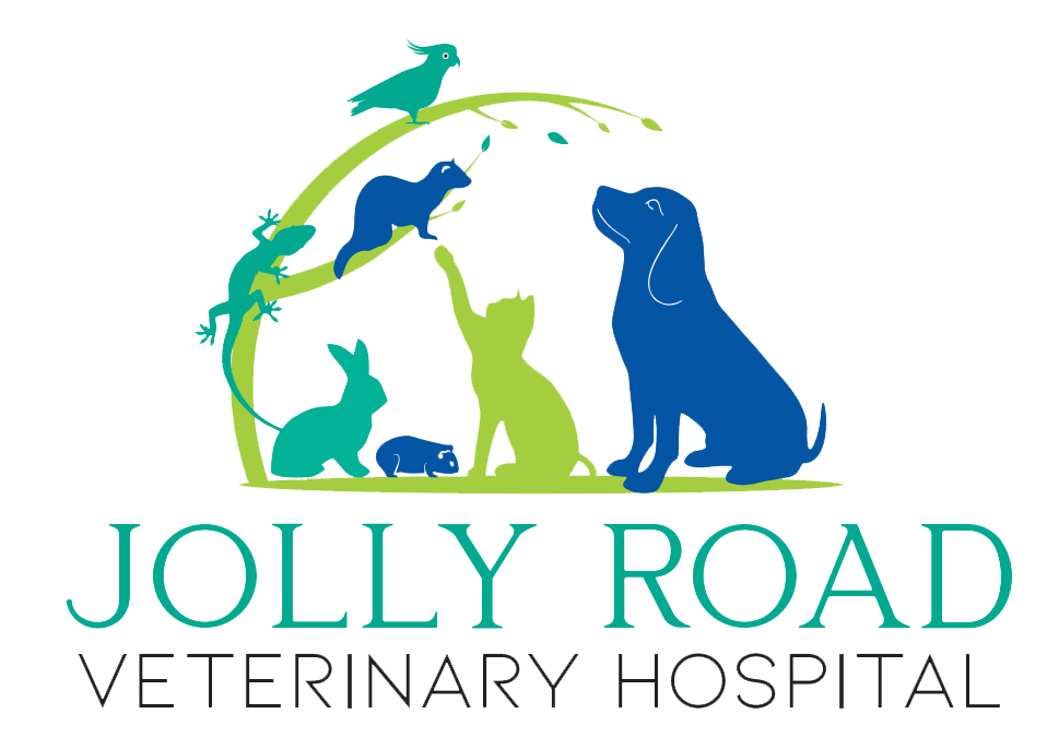 Jolly Road Veterinary Hospital Jolly Road Veterinary Hospital