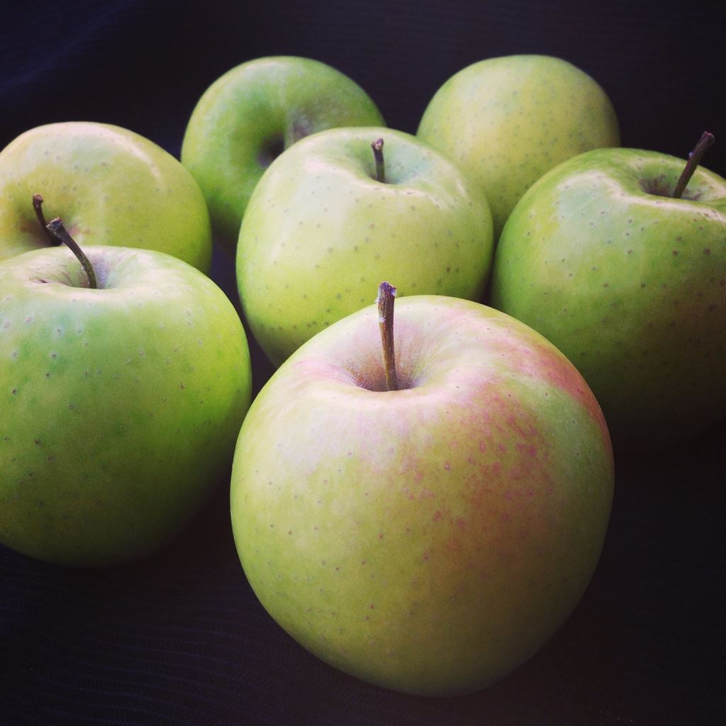 Year of the Green Dragon Apple Jolly Tomato