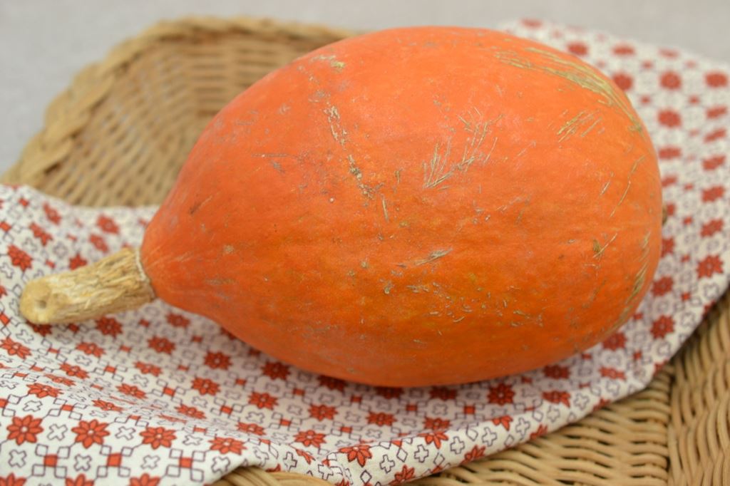 Honey/Balsamic Kuri Squash Recipe Jolly Tomato