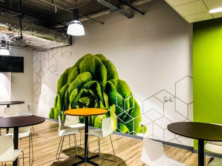 Commercial Wall Wrap How we do business during COVID19 Jomarwraps