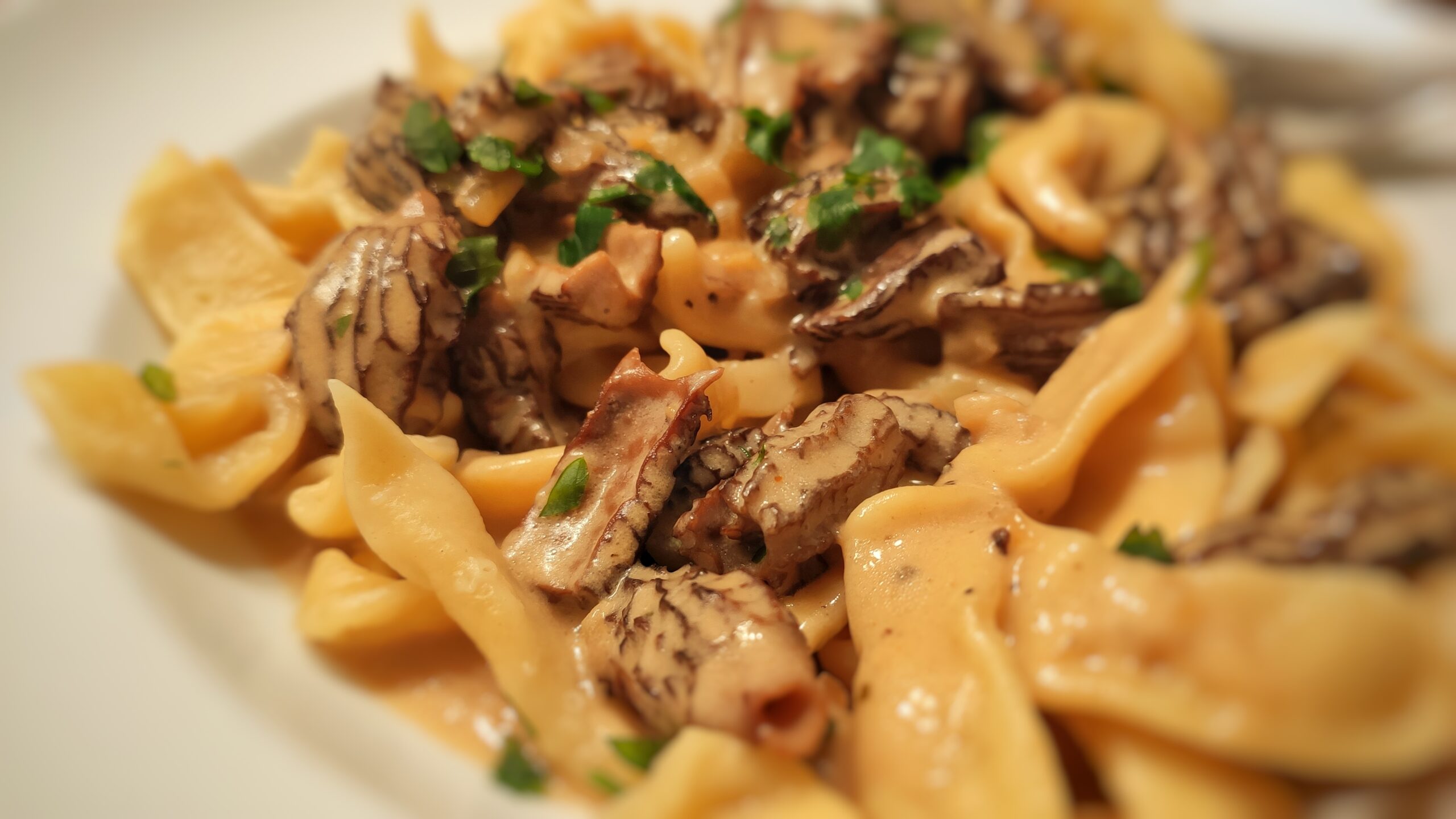 Morchelrahmsauce Jomnomnom RezeptVideos