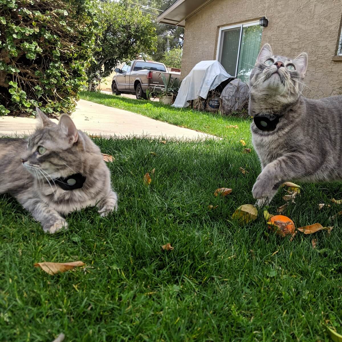 Tile Collar Case Jon Makes