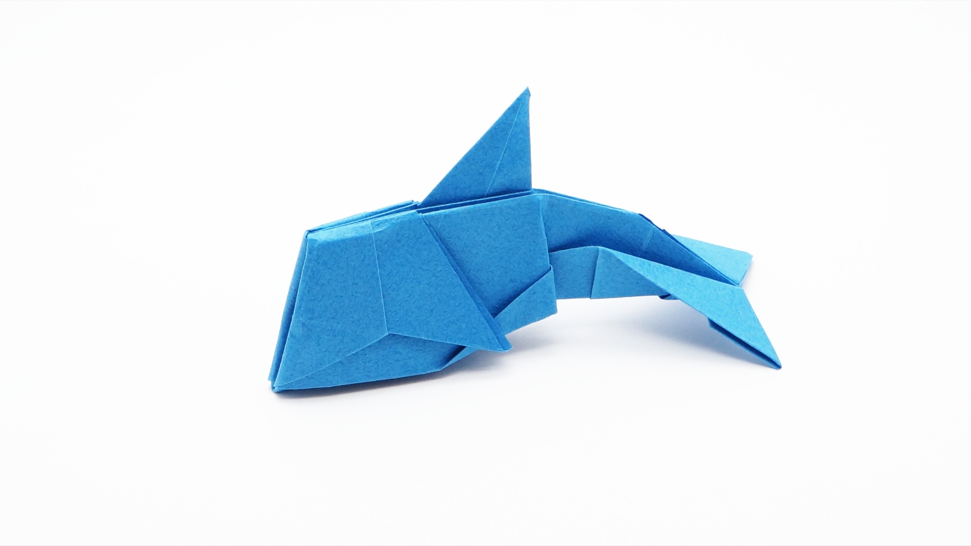 Origami Dolphin Jo Nakashima