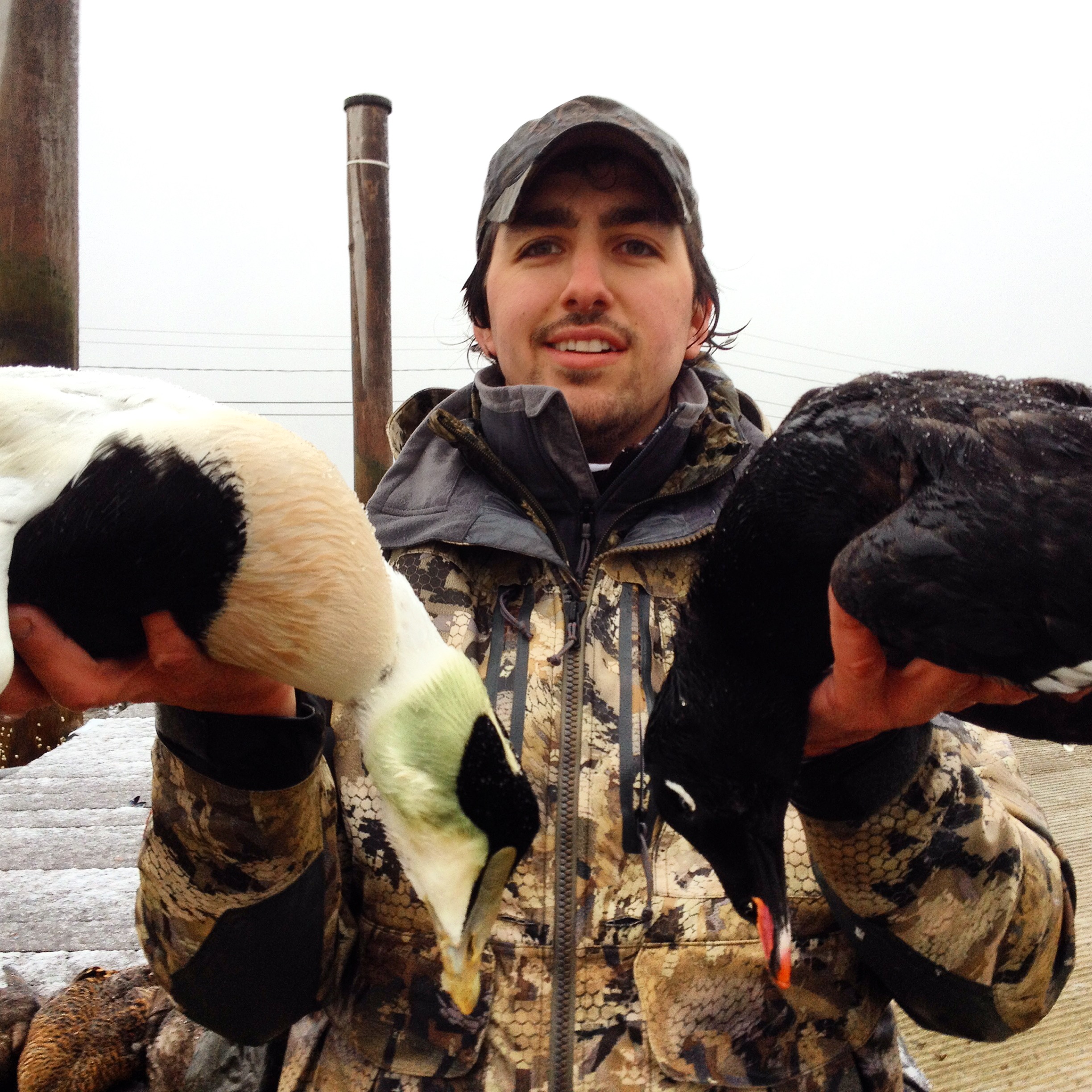 Cape Cod Jonas Brothers Wild Devotion