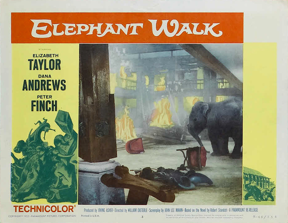 Elephant Walk Jonathan Rosenbaum(04)