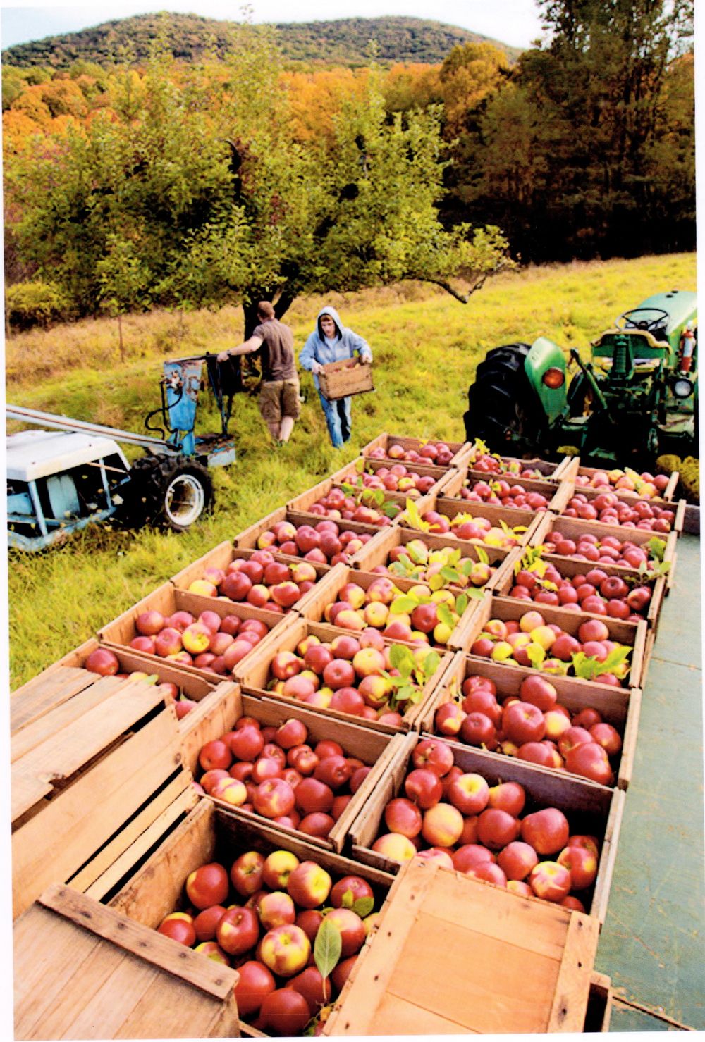 Farm History The Shops at Jones Farm Cornwall, NY