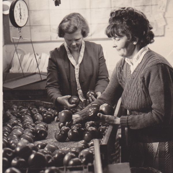 Home The Shops at Jones Farm Cornwall, NY