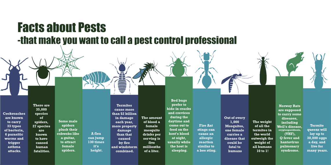 Jones Pest Control Inc. Protection you can count on