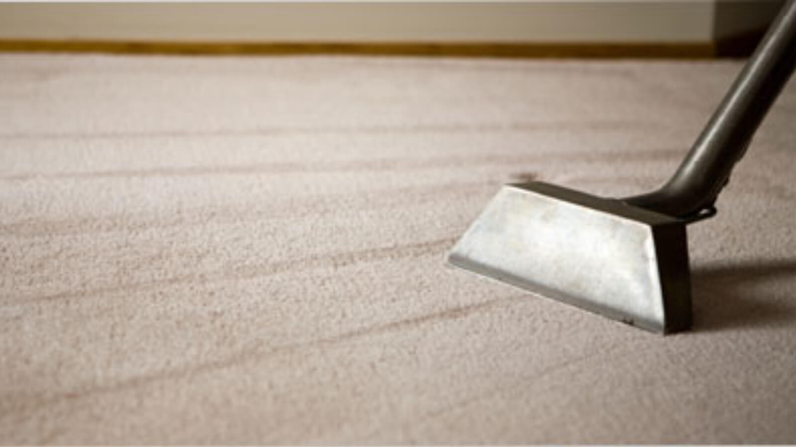 Carpet cleaning service in Pleasanton, CA & Jones Janitorial Services