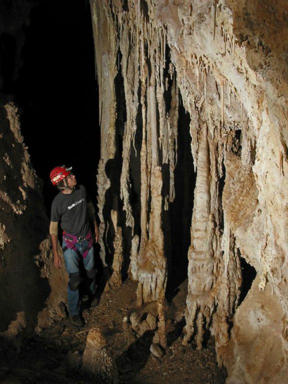 Caves of Carlsbad, New Mexico