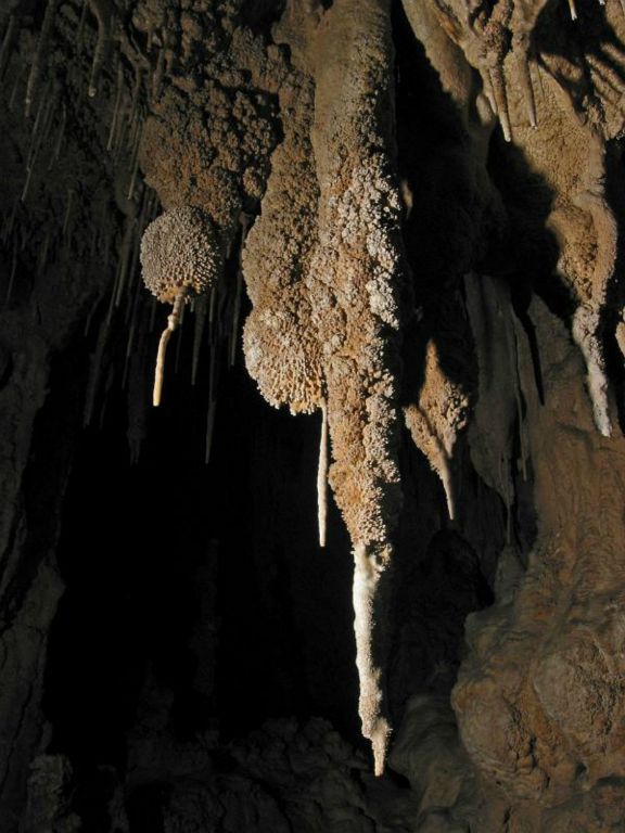 Caves of Carlsbad, New Mexico