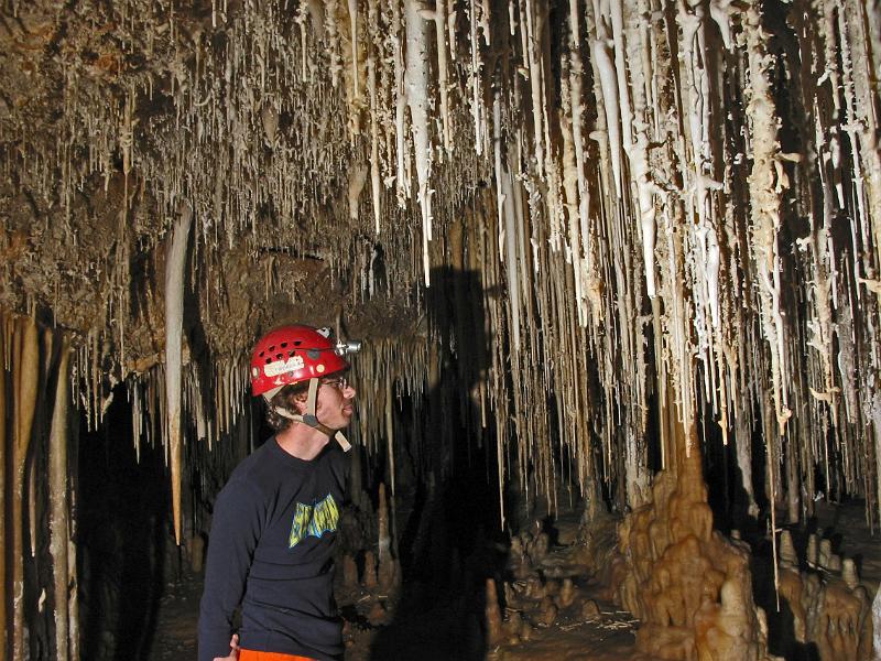 Caves of Carlsbad, New Mexico