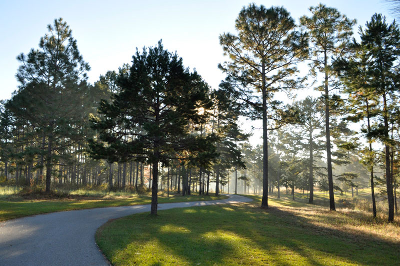 Valhalla Plantation Galleries Jon Kohler & Associates