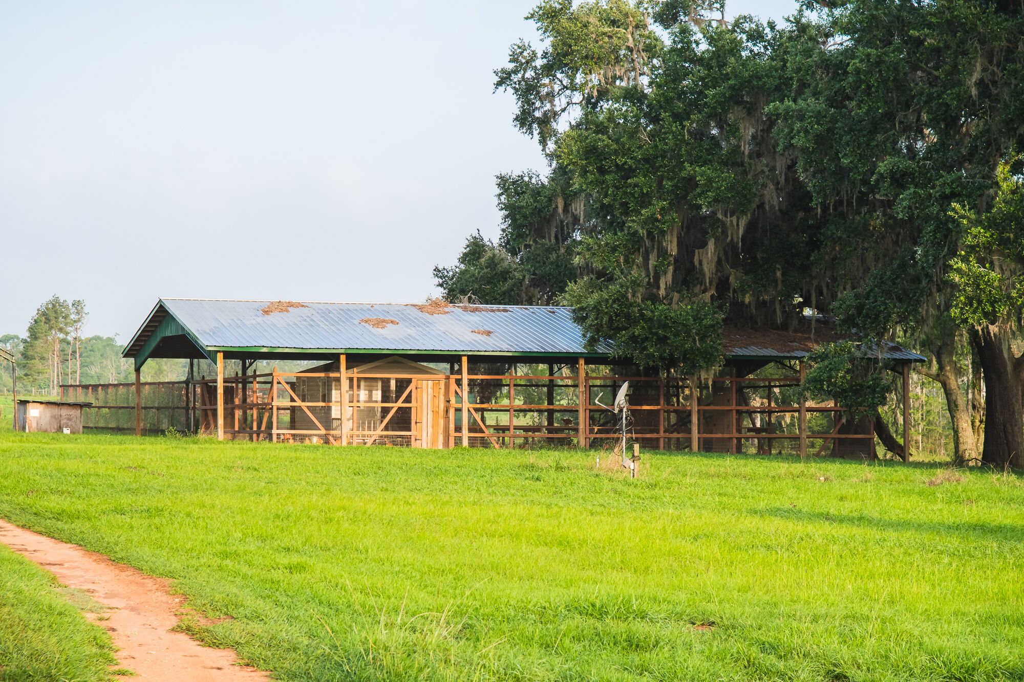 Southern Cattle Lands Sealed Bid Auction Tract O Waddell Mill Pond