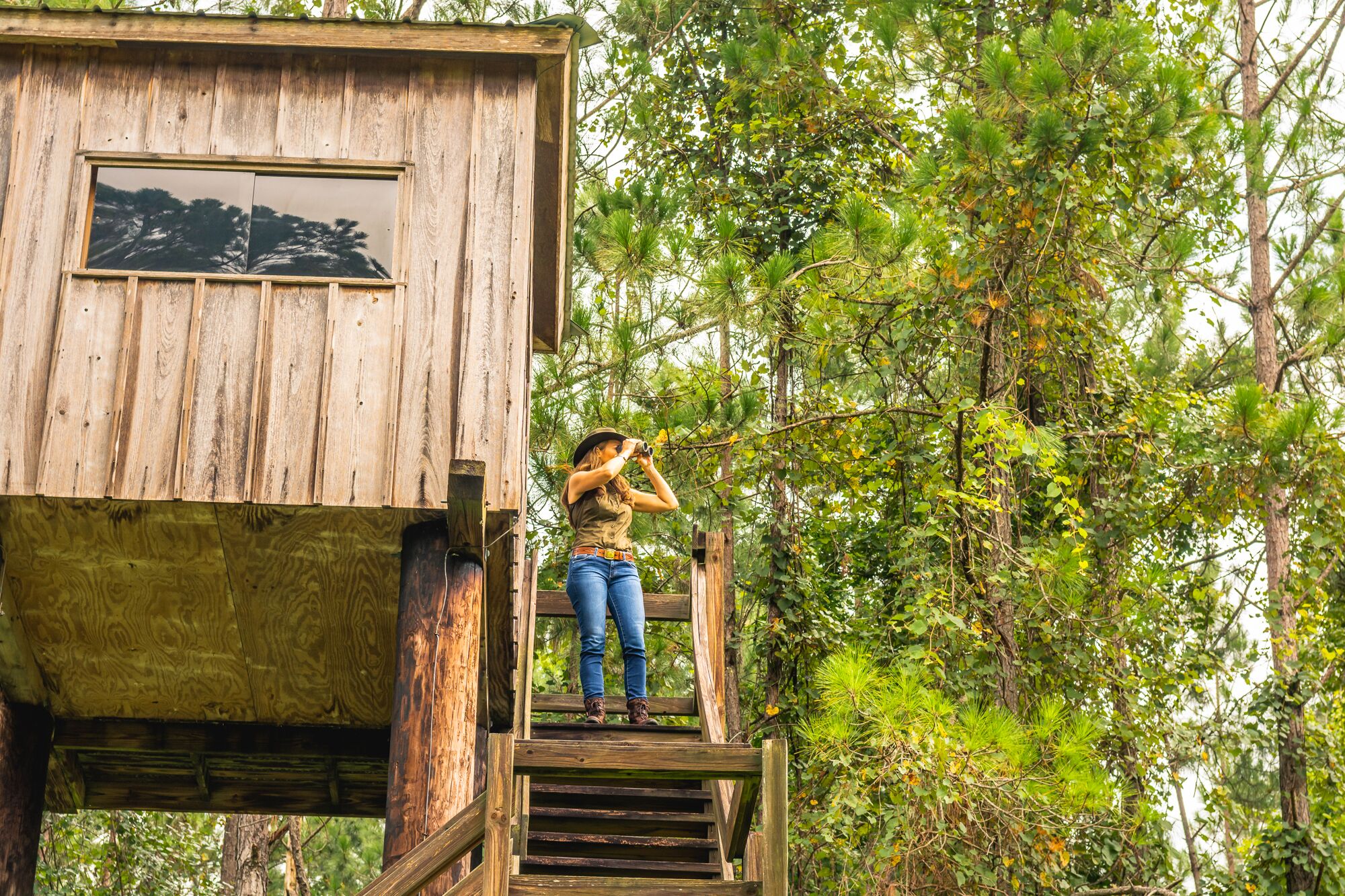 Deep Creek Plantation Galleries Jon Kohler & Associates