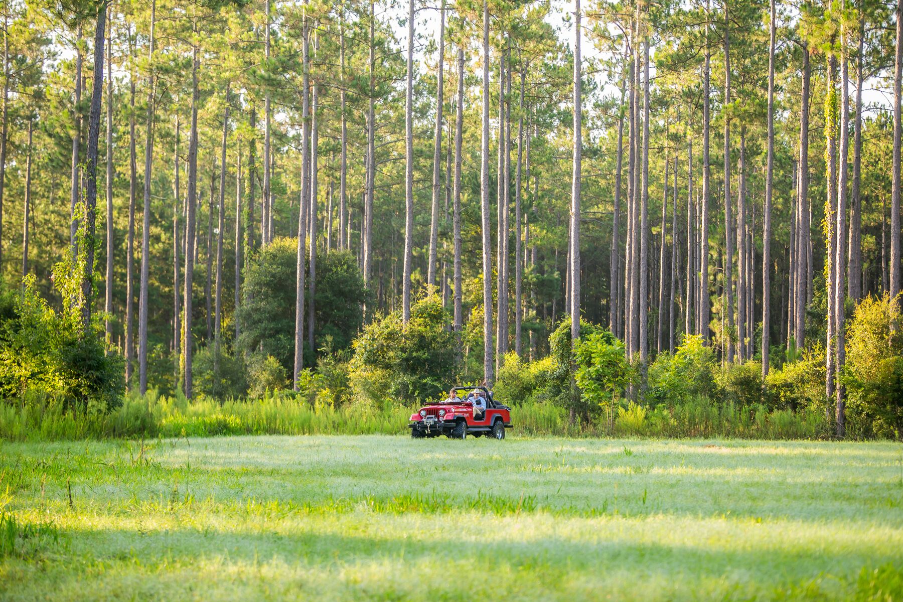 Deep Creek Plantation Galleries Jon Kohler & Associates