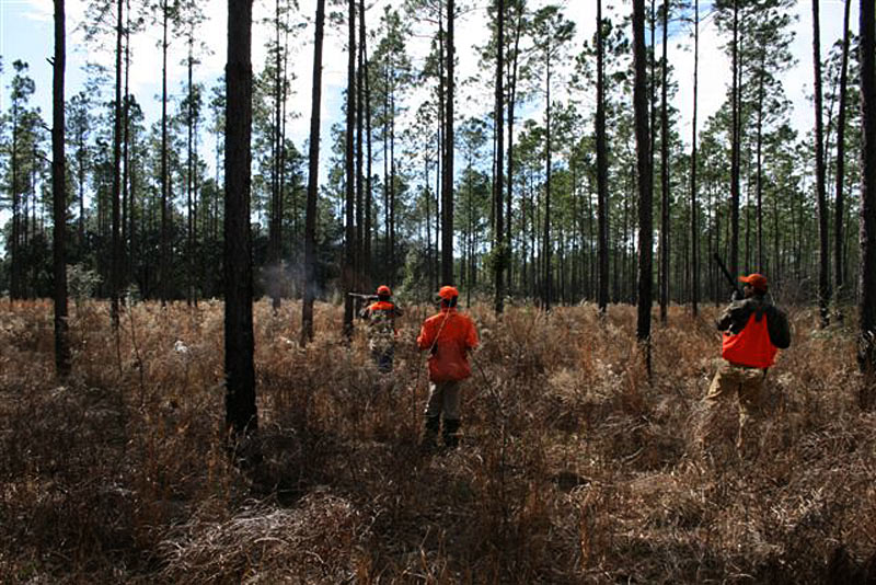Deep Creek Plantation Galleries Jon Kohler & Associates