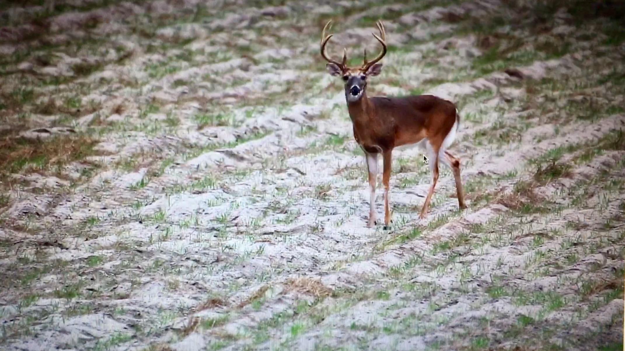 Deep Creek Plantation Galleries Jon Kohler & Associates