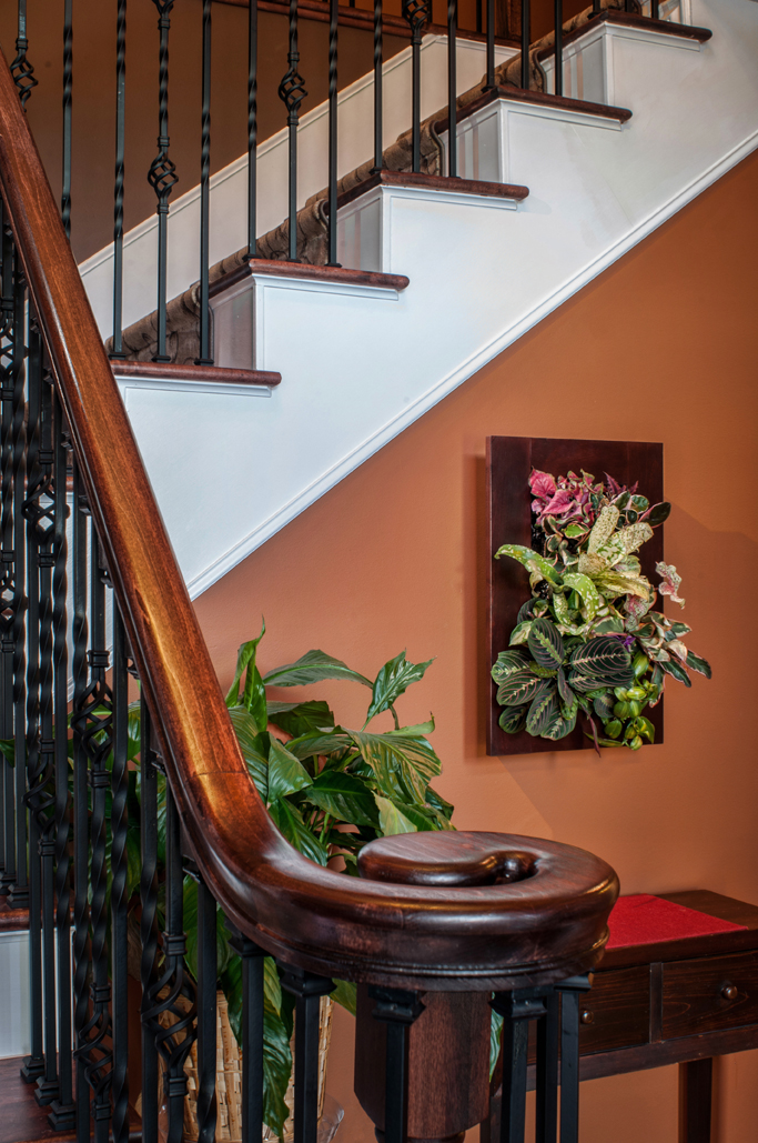 Bright Green USA JonKPhoto