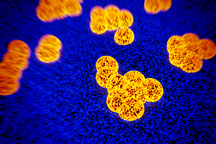 Individual Bacteria Join Together for Multi Cellularity