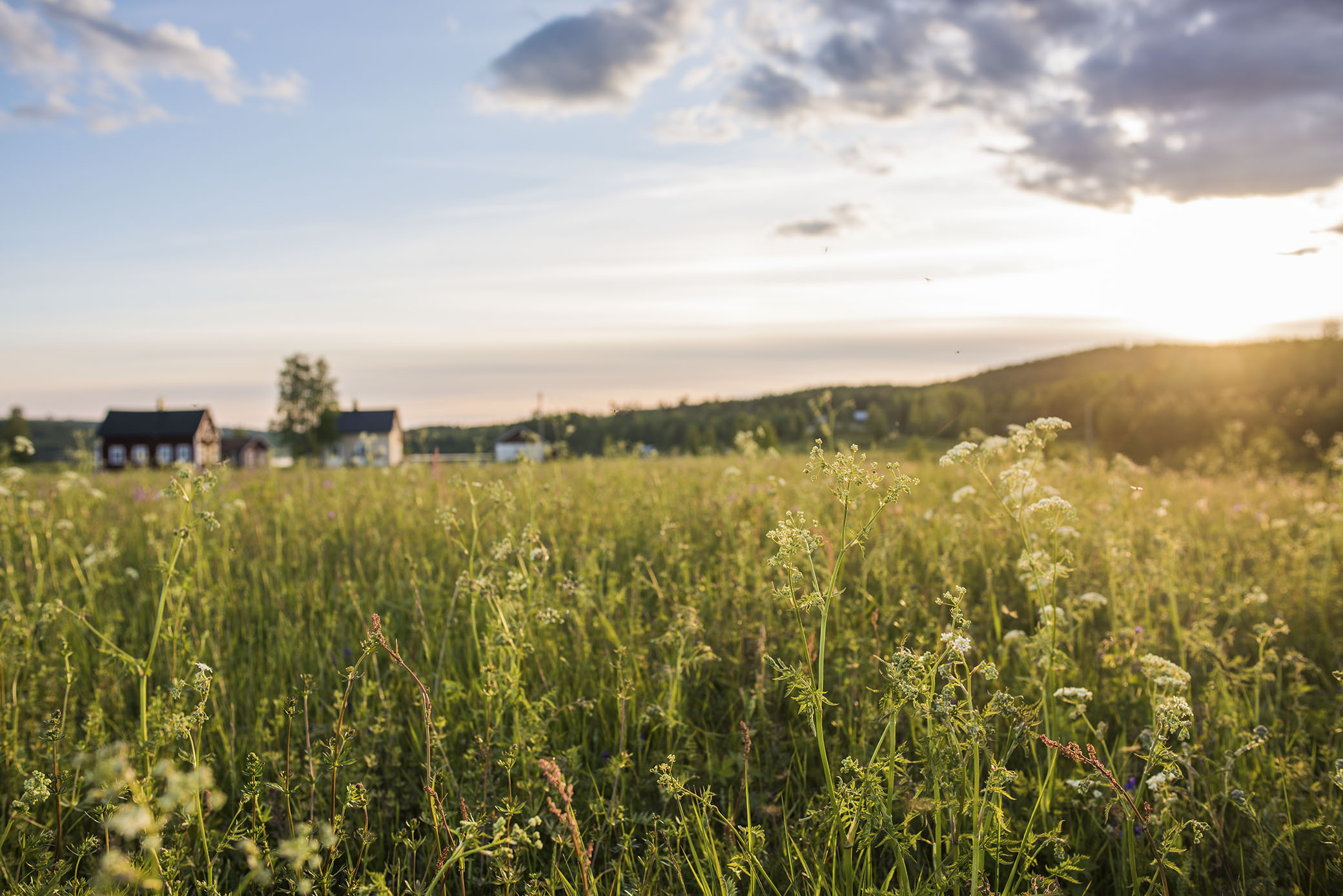 Västernorrland Natur / Miljonsatsning på fricamping Resmål Allt om