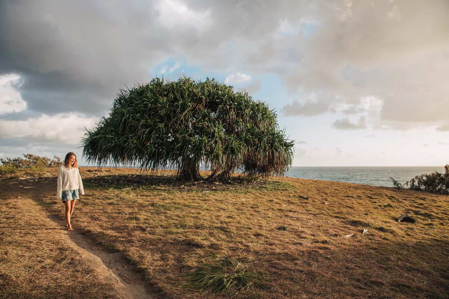 17 AWESOME THINGS TO DO IN AGNES WATER & 1770 Jonny Melon