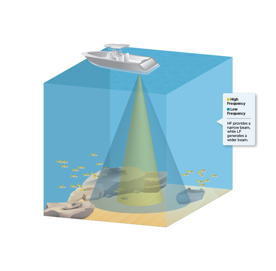 Transducer Jonathan Perkinson