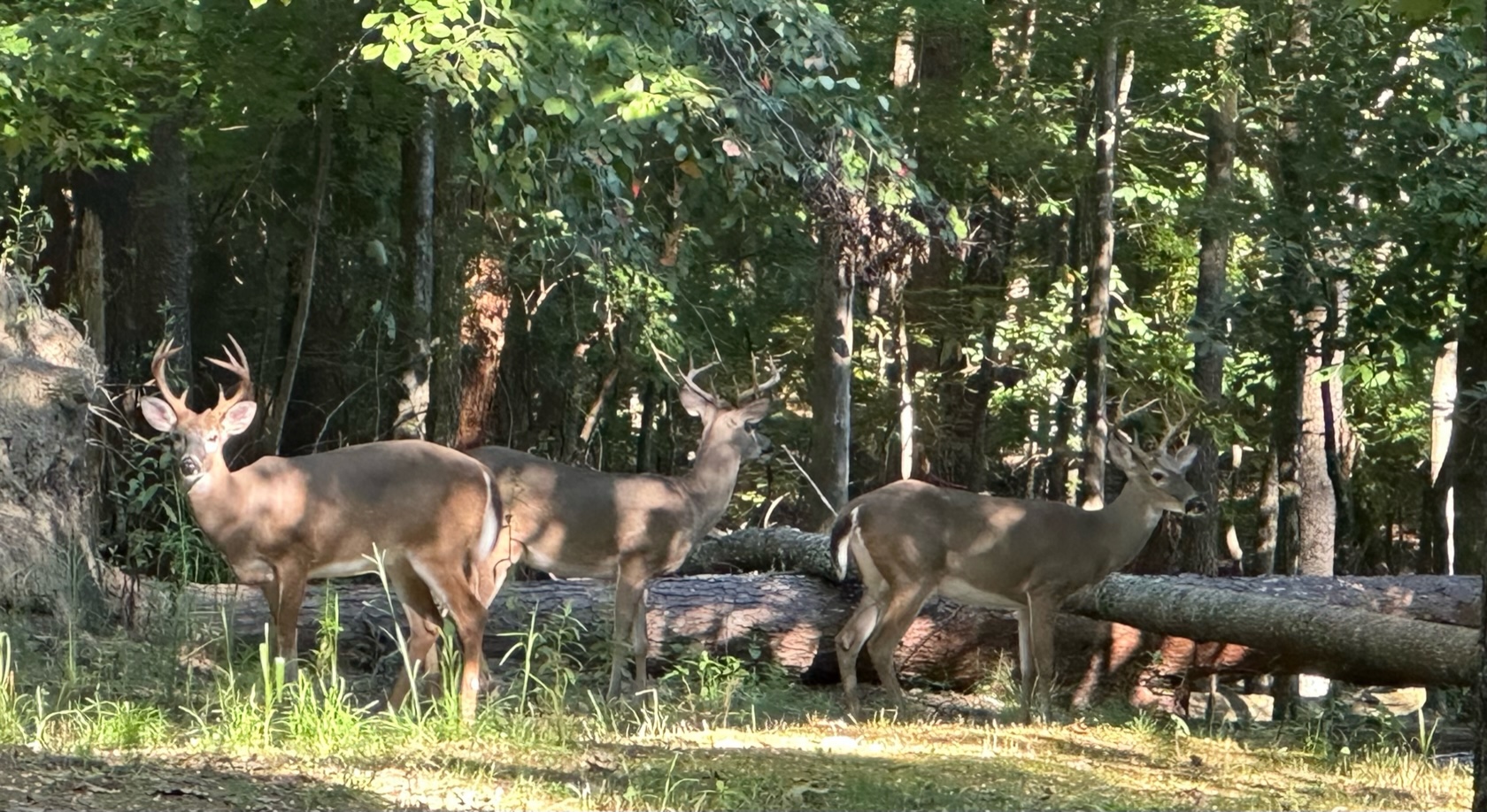 3 Young Bucks MIND & MATTERS