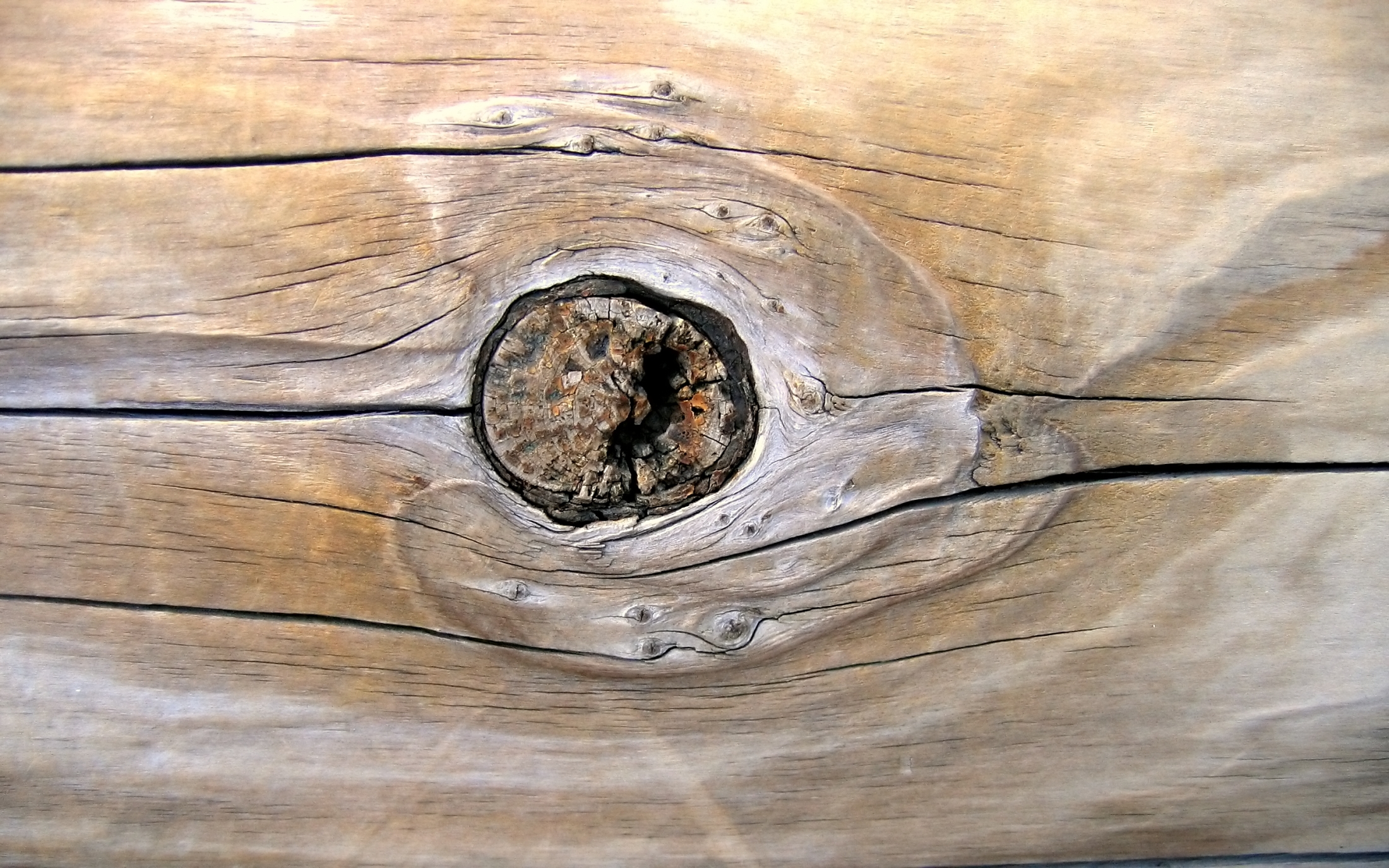 Free photo A Knothole Age, Log, Wood Free Download Jooinn