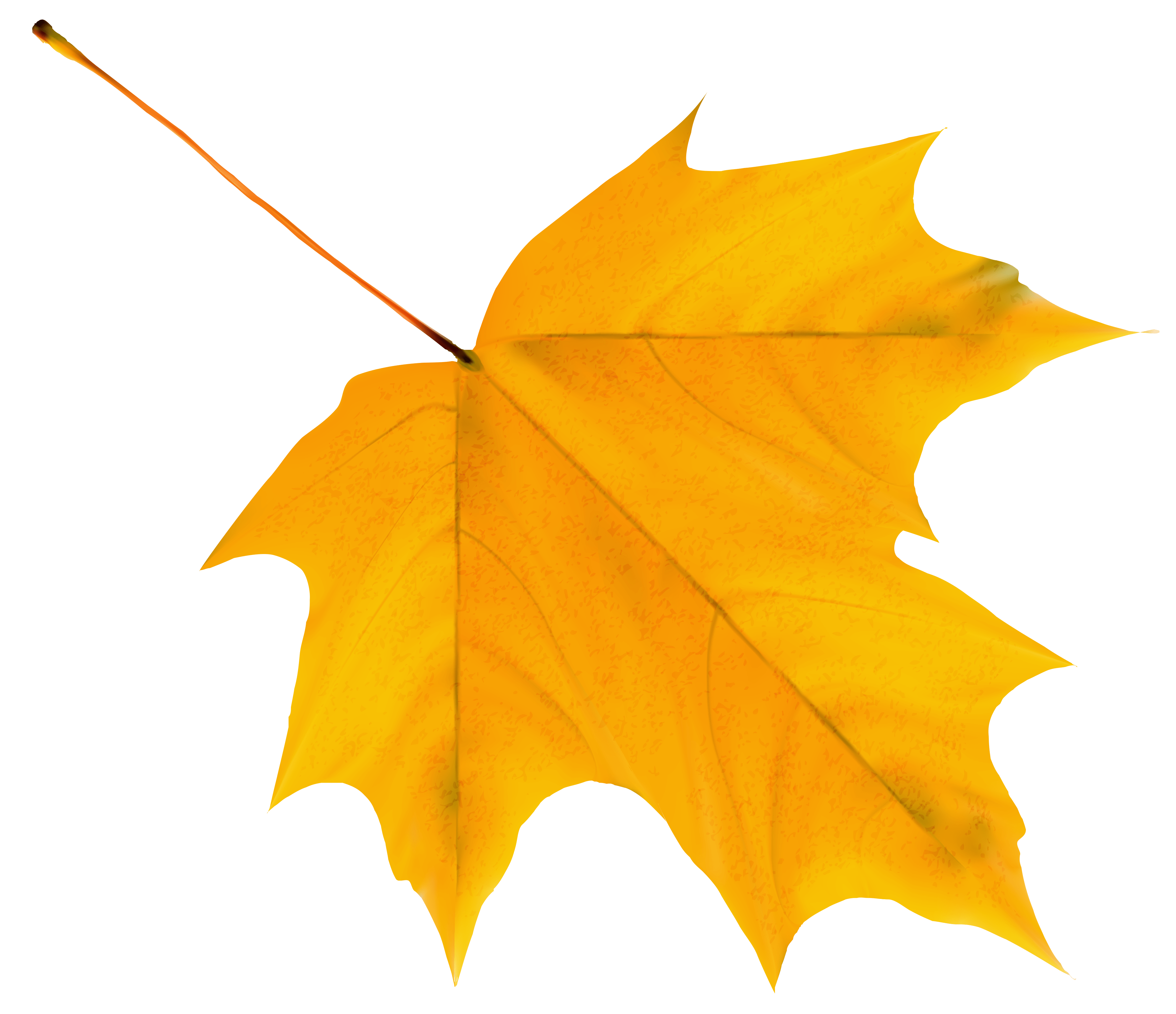 Free photo yellow leaf Autumn, Closeup, Ecology Free Download Jooinn