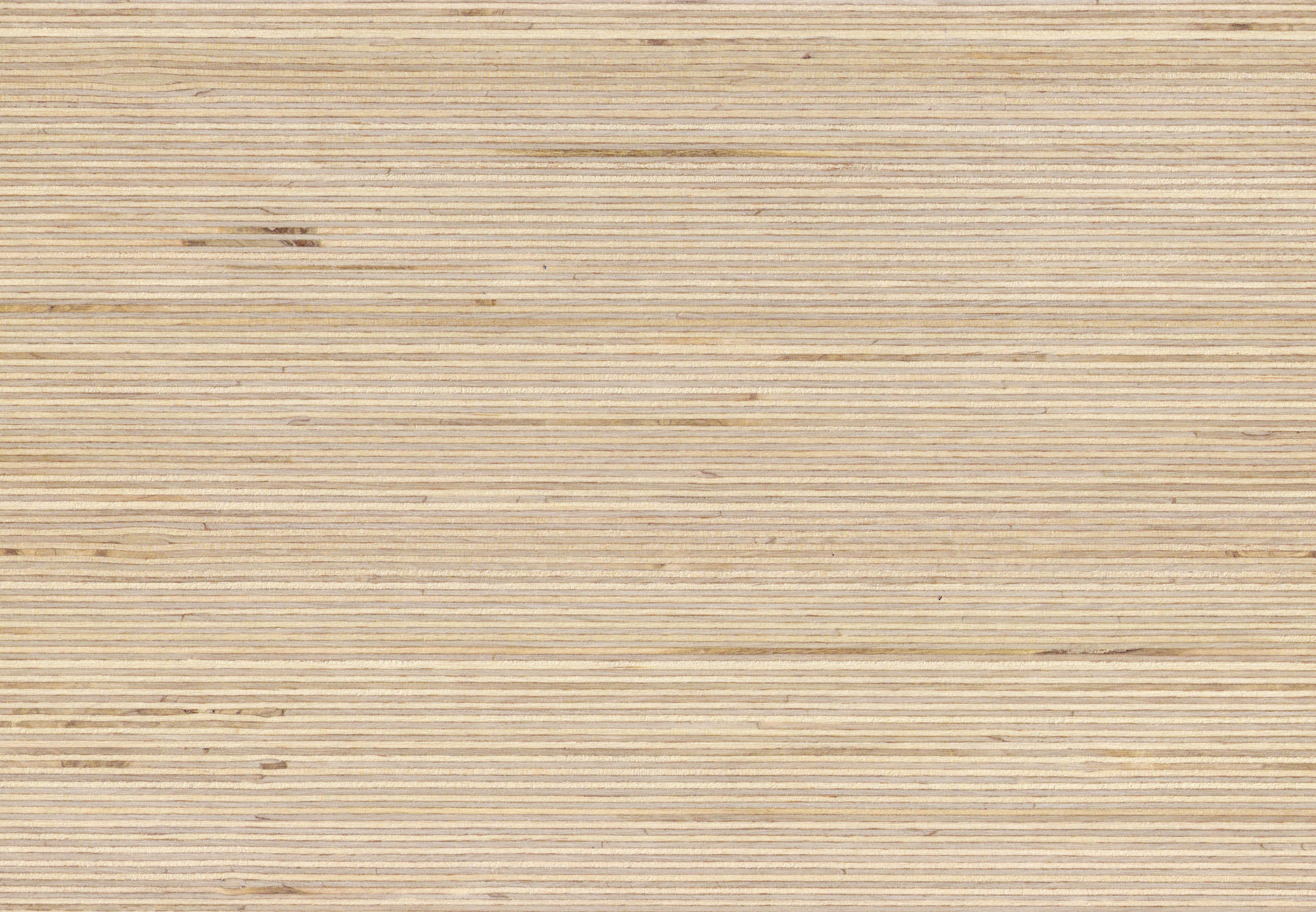 Free photo Birch texture Bark, Birch, Black Free Download Jooinn