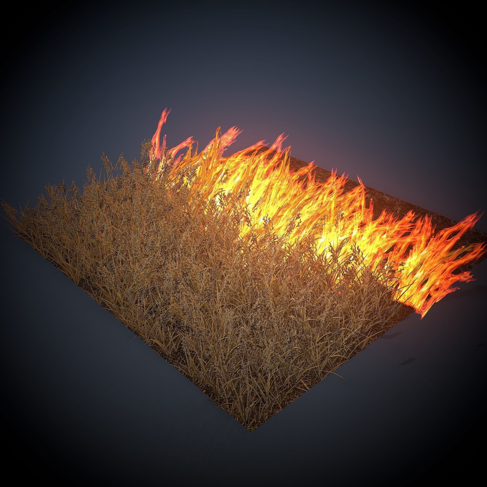 Free photo Burning Grass Burning, Fire, Forest Free Download Jooinn