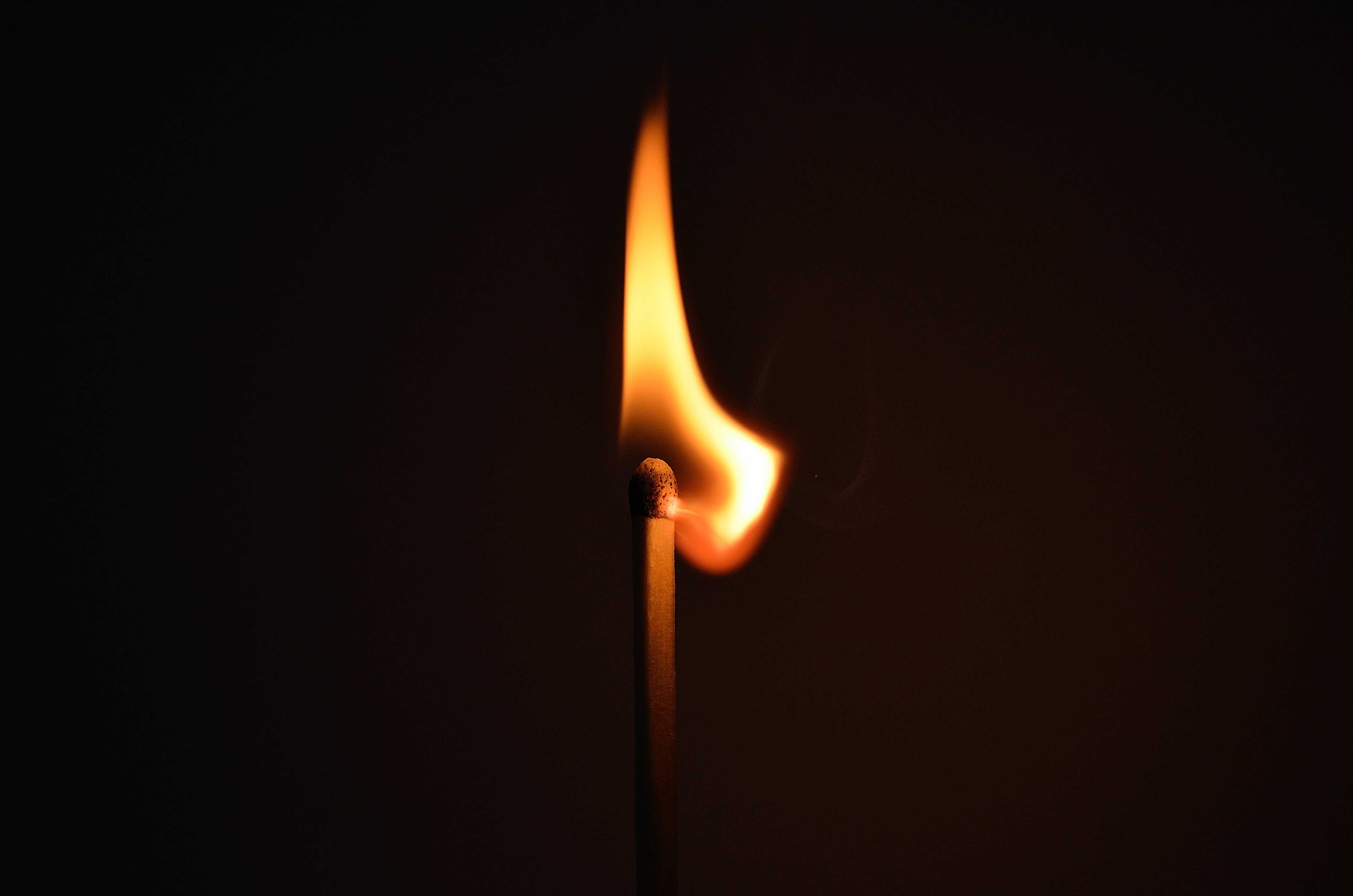 Free photo Burning Matchstick Burn, Burning, Fire Free Download