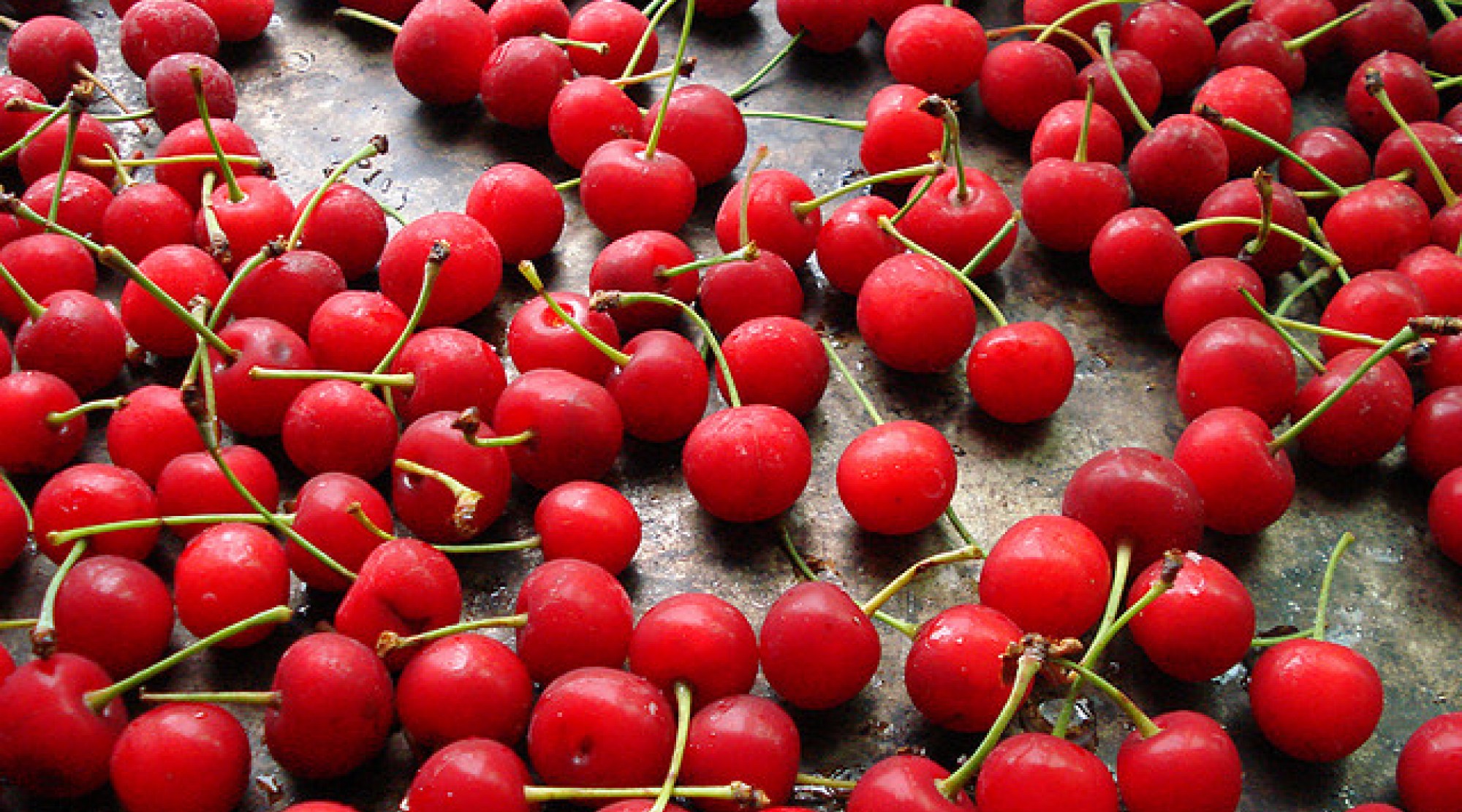 Free photo: Cherry - Flower, Fresh, Freshness - Free Download - Jooinn
