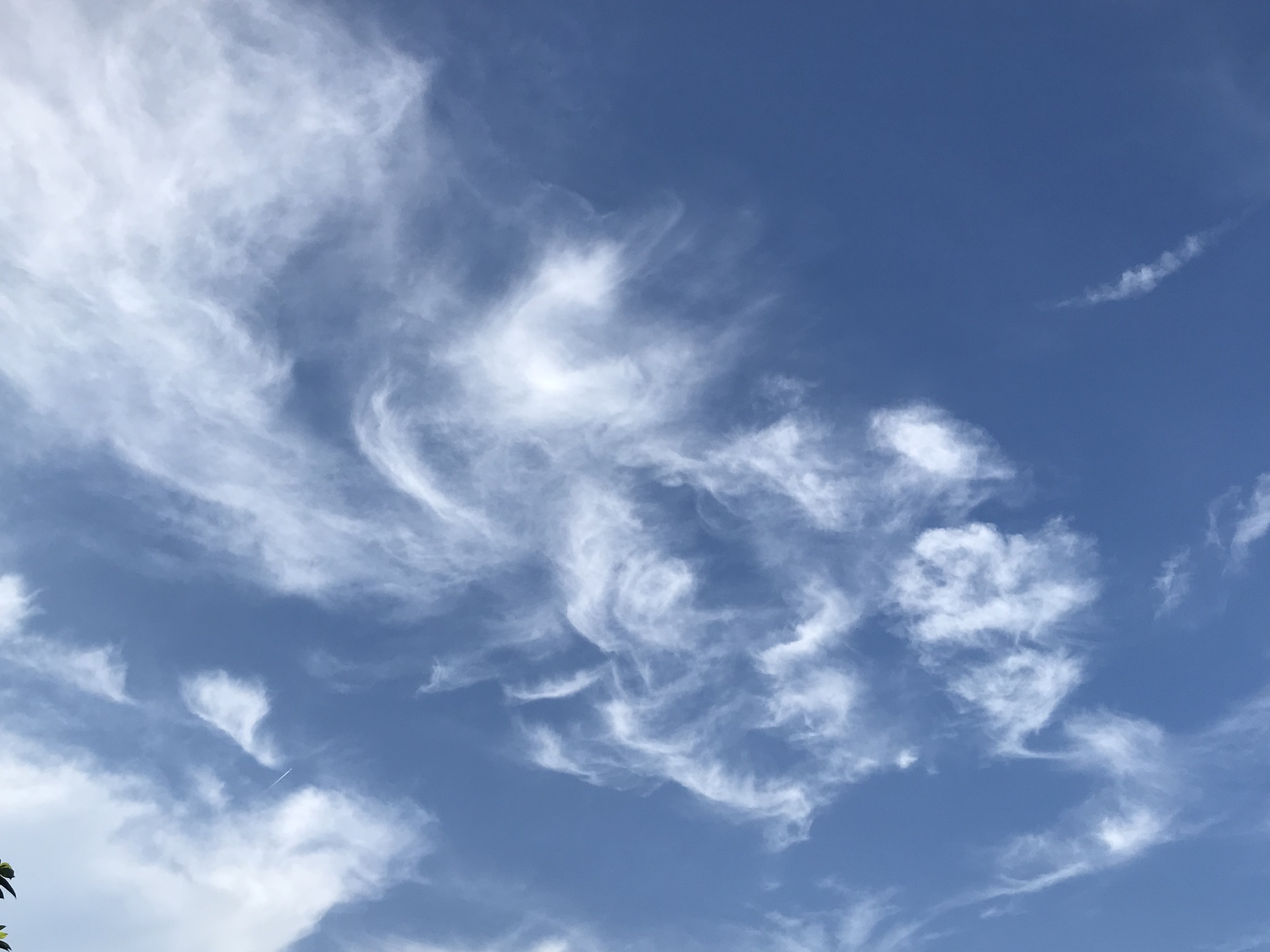 Free photo Cirrus Clouds Cirrus, Cloud, Cloudy Free