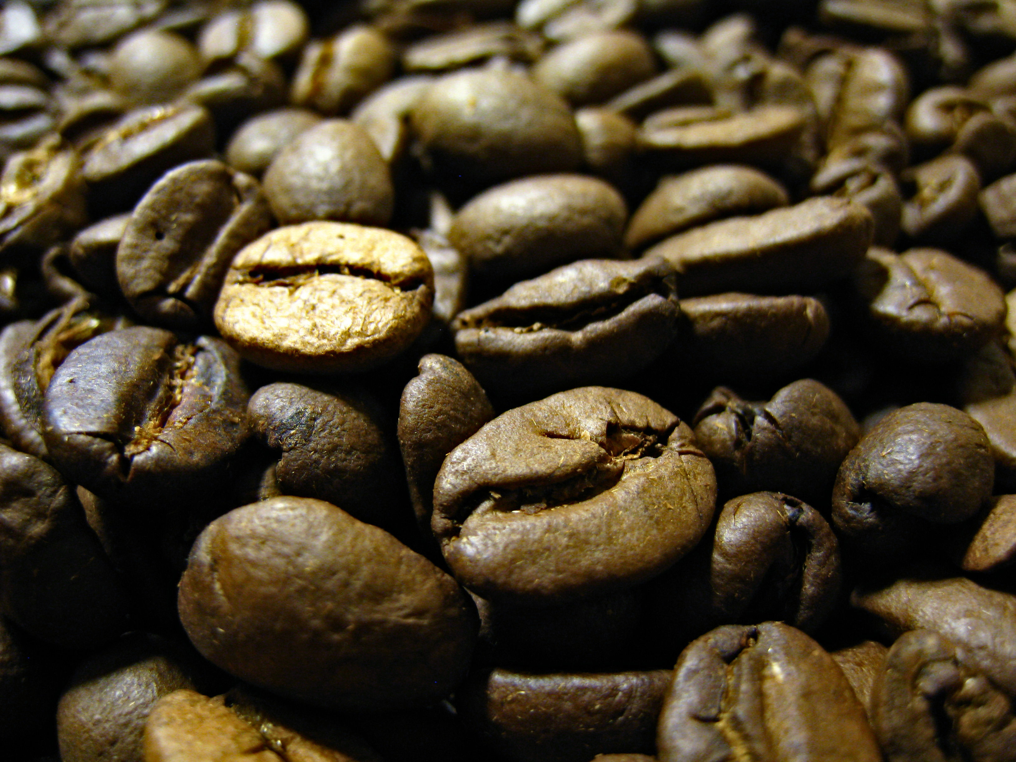 Free photo Coffee Beans Beans, Brown, Coffee Free Download Jooinn