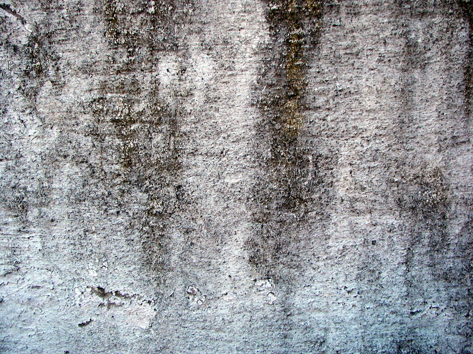 Free photo Dirty stone wall texture Brown, Cement, Concrete Free