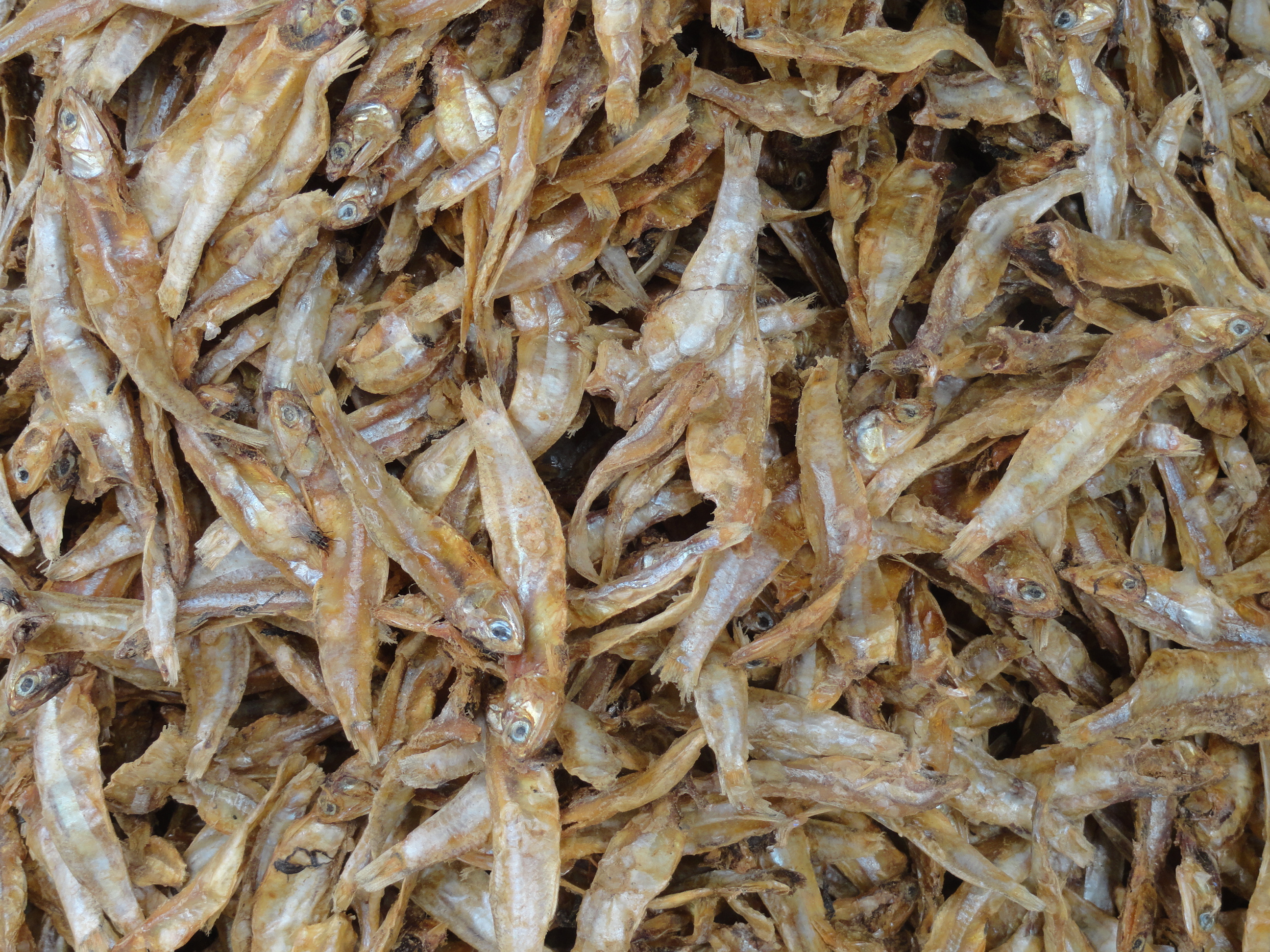 Free photo Dry fish Animal, Salty, Organic Free Download Jooinn