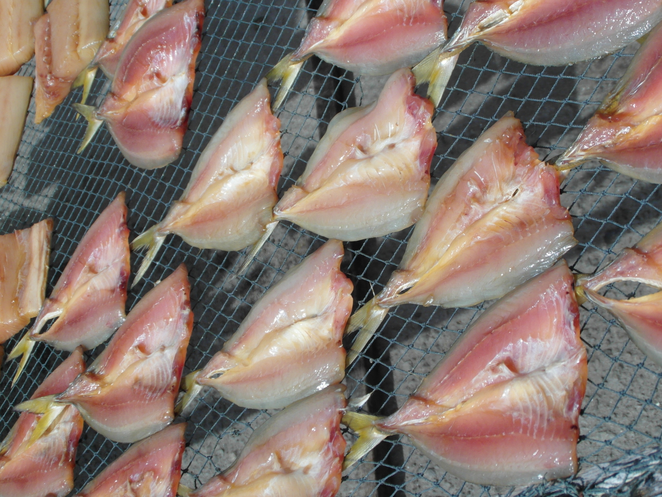 Free photo Drying Fish Traditional, Oil, Sunshine Free Download