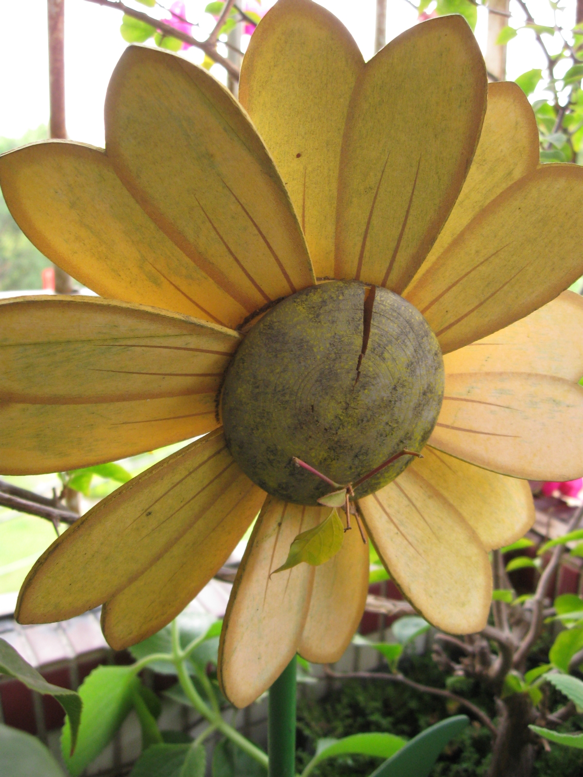 Free photo Fake flower Cardboard, Cracked, Fake Free Download Jooinn