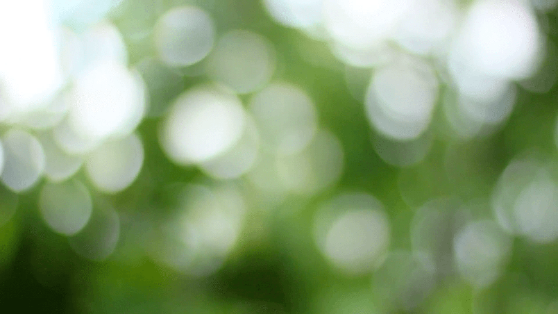 Free photo Green Bokeh Background Bokeh, Bubbles, Christmas Free