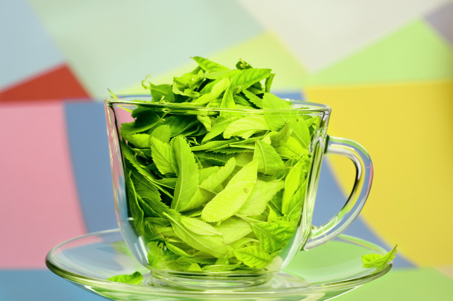 Free photo Green tea Bar, New, Isolated Free Download Jooinn
